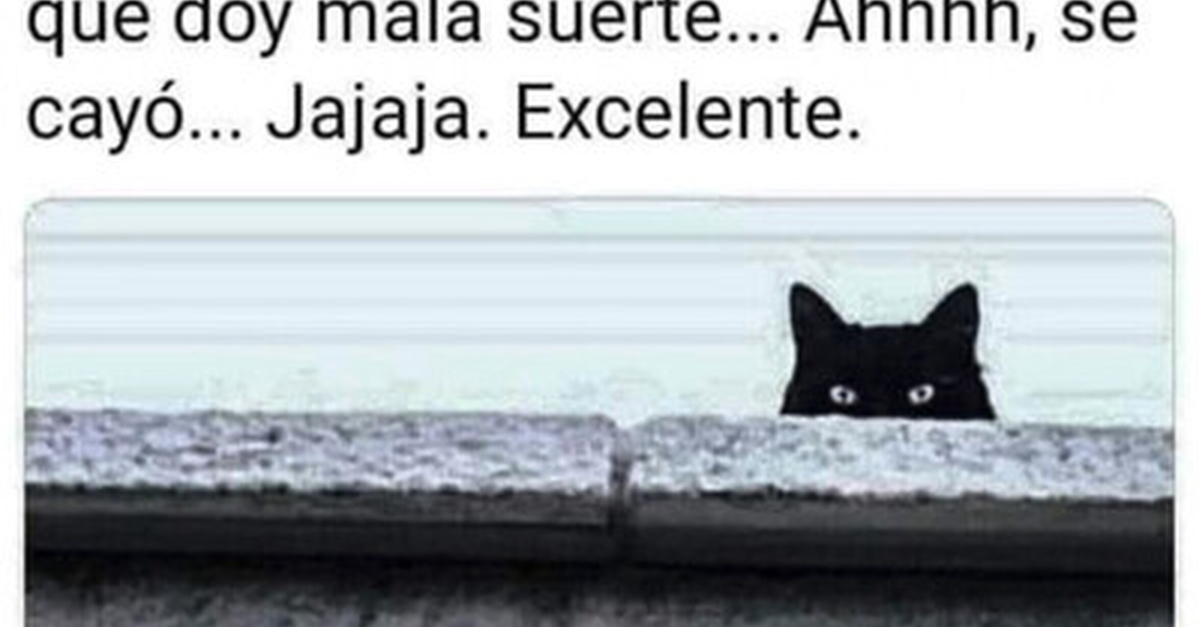 No le eches la culpa al gato negro