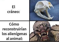 Enlace a Cuando tu cráneo no te hace justicia