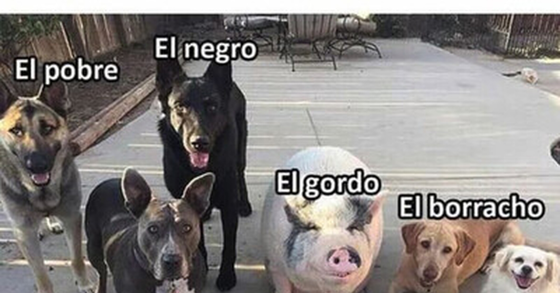 Todo buen grupo de amigos