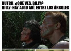 Enlace a Bien de camuflaje