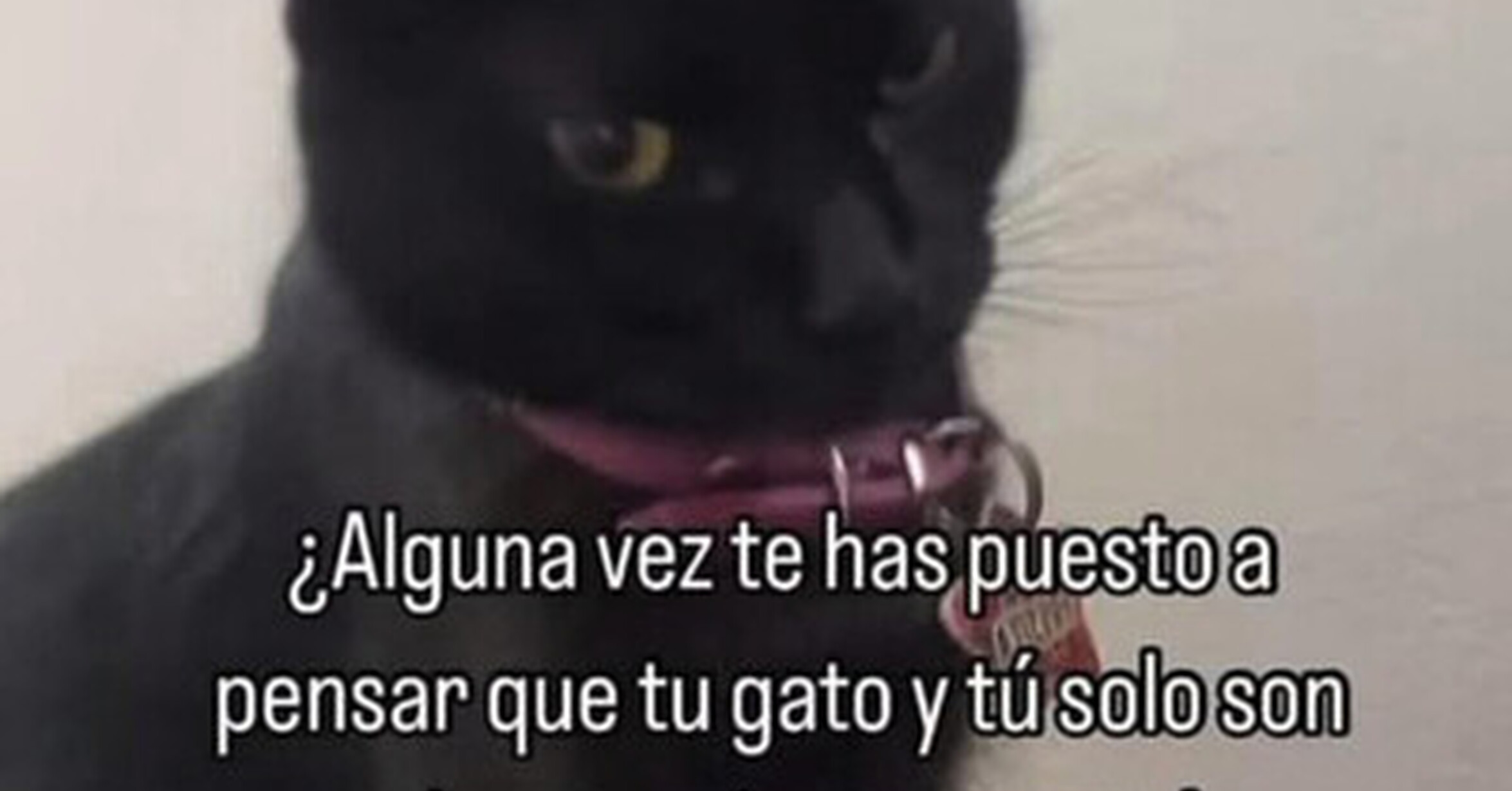 Nunca lo había pensado así