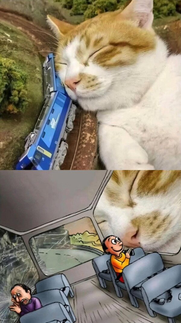 CC_2817863_e3c98f0b227a4431aa6de2164a05e65c_meme_otros_adorable_accidente.jpg