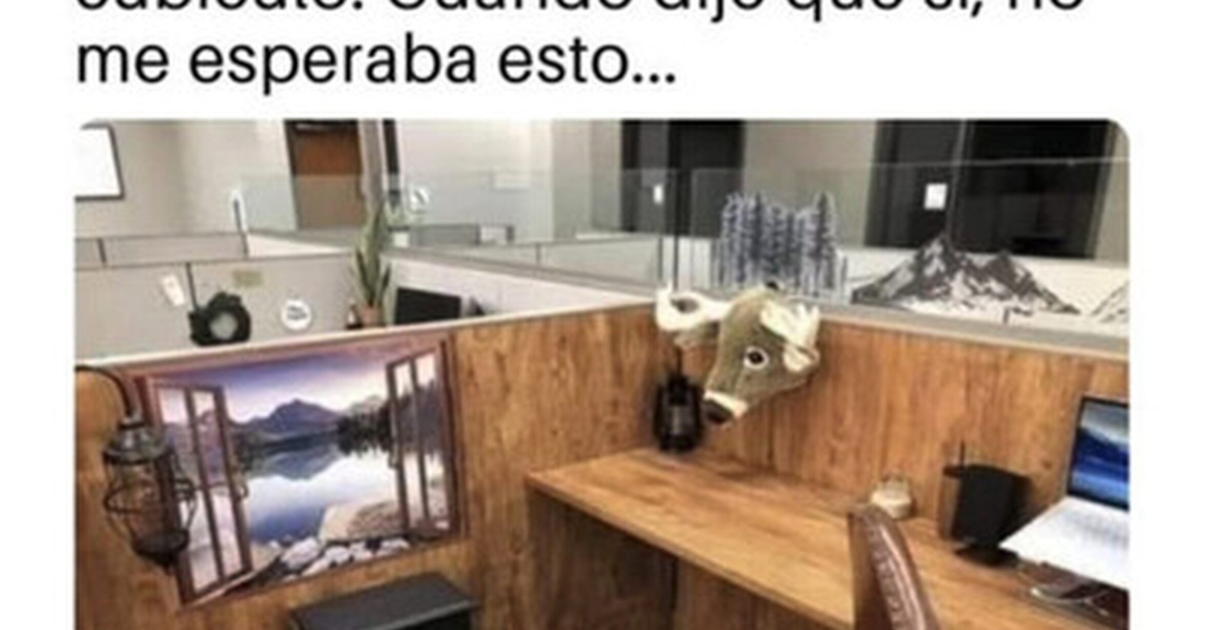 Decorando el cubículo