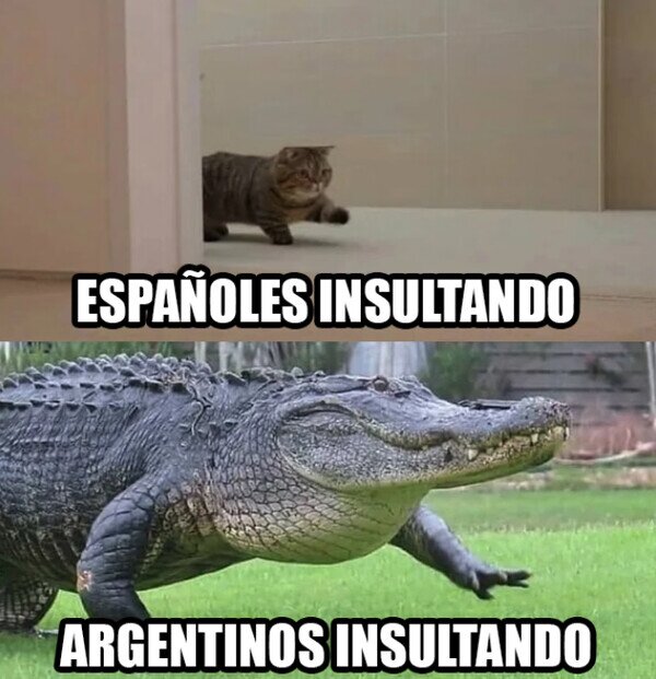 CC_2817910_e841d2e30c4b4a598446e6c8f507e794_meme_otros_tienen_otro_nivel_de_insulto.jpg