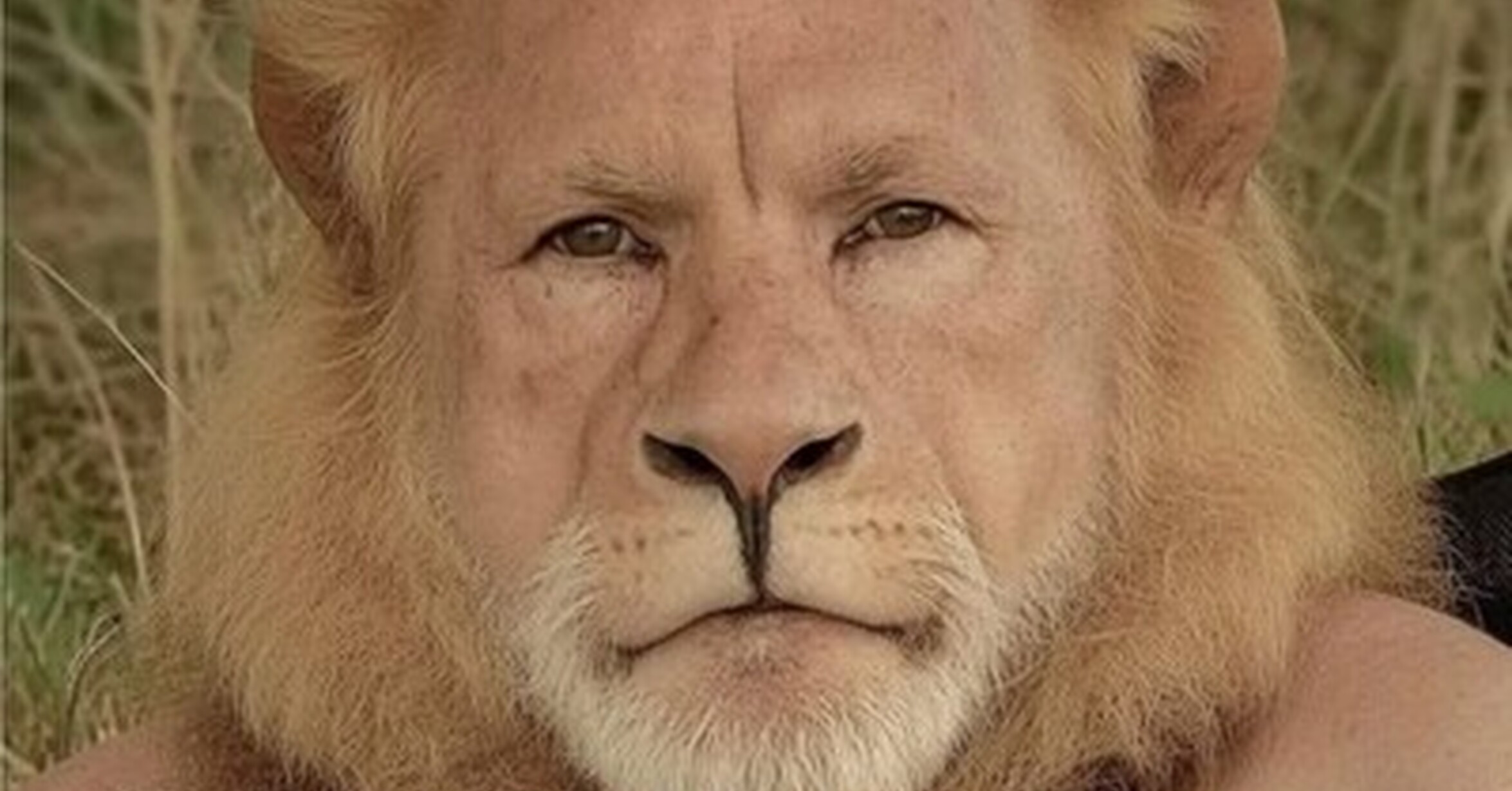 Una animalada de nombre