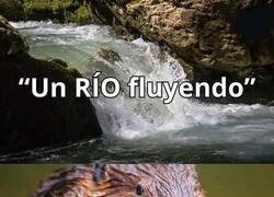 Enlace a No puede permitirlo