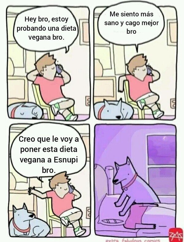 dieta,vegano,perro