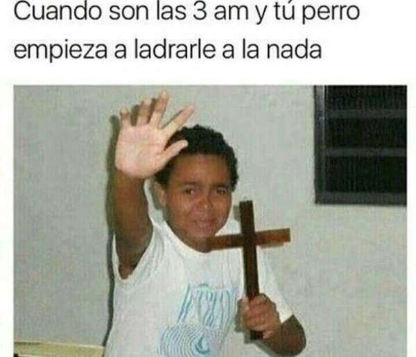 CC_2818064_b3bbff9b7b1943fdae8be1ecdc29bf0f_meme_otros_algo_hay_ahi.jpg