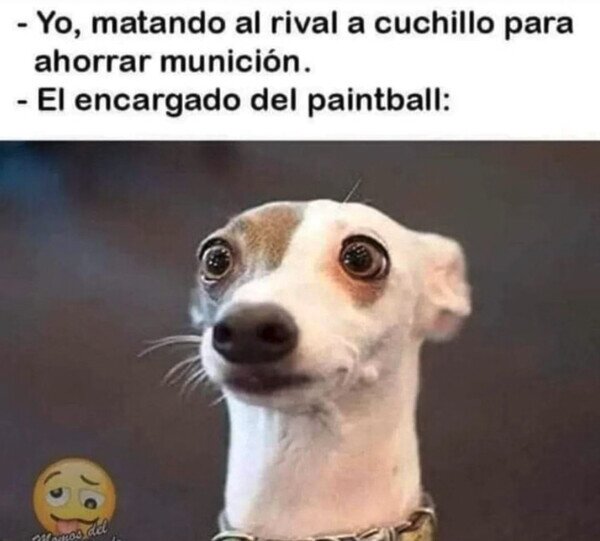 CC_2818118_c38d37d1f0ab4371b53f6f58bd3f96f8_otros_no_hombre_no_43.jpg