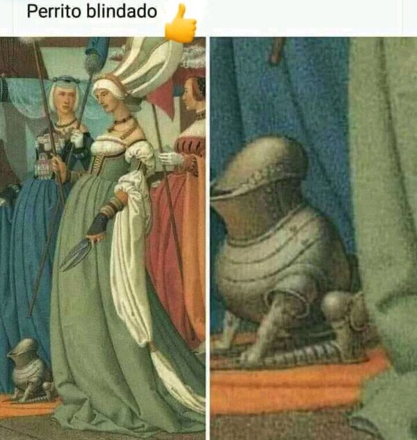 blindado,armadura,perro