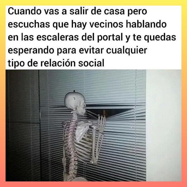 CC_2818136_3c2ecee0a833496d9822d3d9e6602819_otros_se_han_ido_ya.jpg