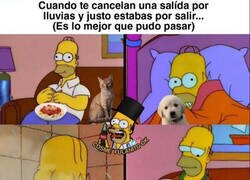 Enlace a Bendita lluvia