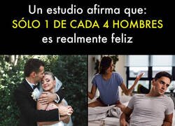 Enlace a La estadística no engaña