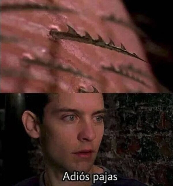 Meme_otros - Lo primero que debió pensar