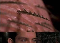 Enlace a Lo primero que debió pensar