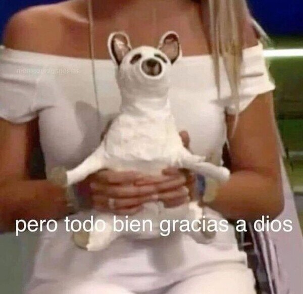 CC_2818158_b0275197968a4bbab6af4bd0f037a767_meme_otros_cuando_me_preguntan_como_estoy_1.jpg