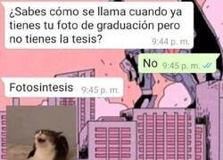 Enlace a Perdón de antemano