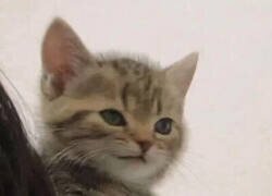 Enlace a Quizá yo soy el problema