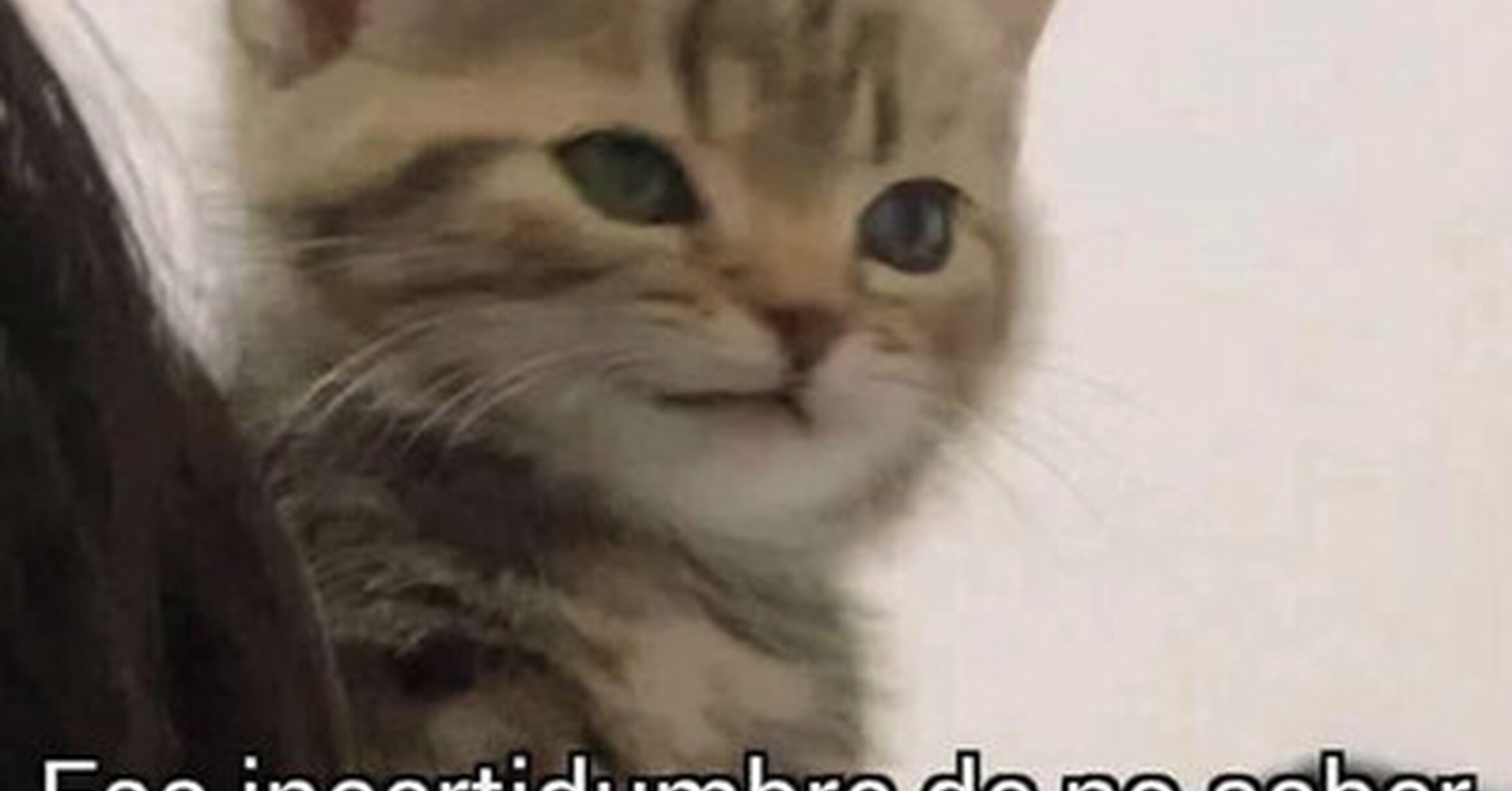 Quizá yo soy el problema