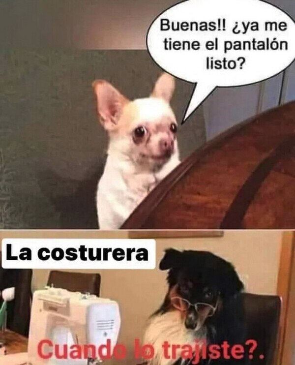 Meme_otros - Visita a la costurera