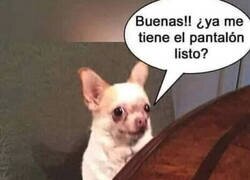 Enlace a Visita a la costurera