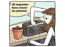 Enlace a El reggaeton hace crecer las plantas