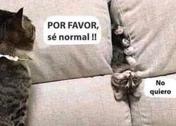 Enlace a No puede estarse quieto