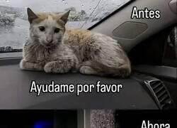 Enlace a Se me ha subido a la chepa