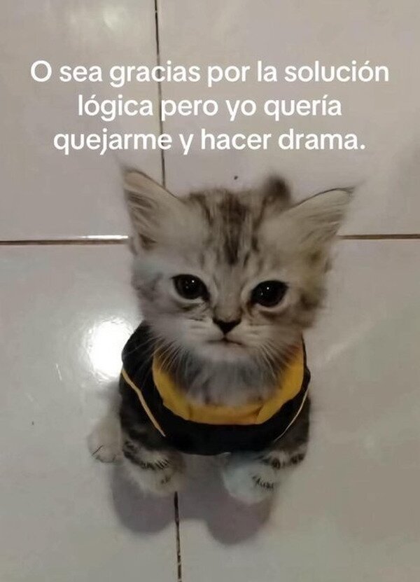 CC_2818272_536a29db2b5b4a39a836c5b197e5d5fa_meme_otros_me_ayudaron_cuando_no_lo_queria.jpg