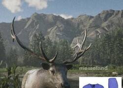 Enlace a ¿Es verdad lo que dicen sobre los sanitarios?