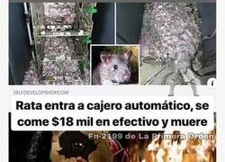 Enlace a La rata anticapitalista