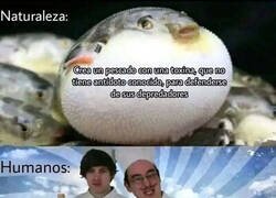 Enlace a Habrá que ver a que sabe eso