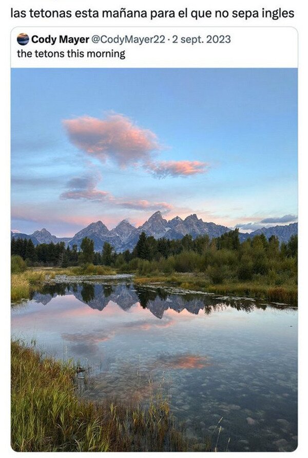 Meme_otros - Por si no sabéis inglés