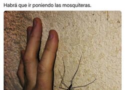 Enlace a Ya están entre nosotros