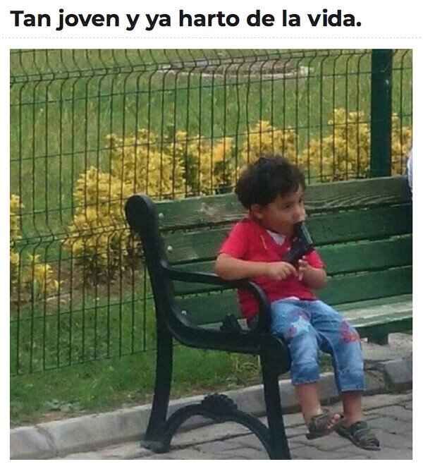 CC_2818323_8f8f6376e0634531a45d4b85e0825f48_meme_otros_hasta_aqui_llegue.jpg