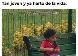 Enlace a Hasta aquí llegué