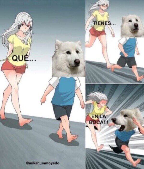 CC_2818342_602ed08bc55a4a97878979da8438d2fe_meme_otros_todo_el_rato_lo_mismo.jpg