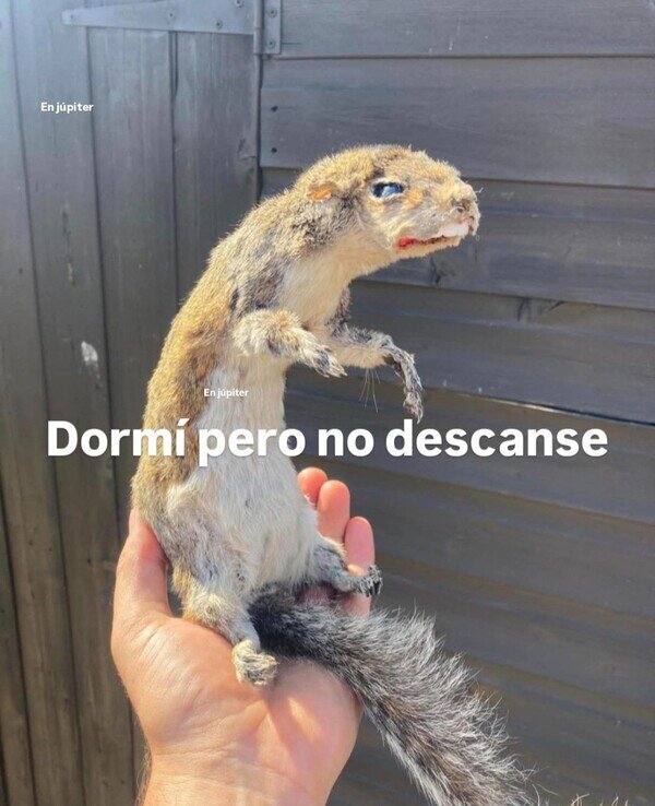 Otros - Yo todas las manañas