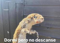 Enlace a Yo todas las manañas