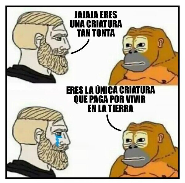 Otros - Triste realidad