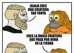 Enlace a Triste realidad