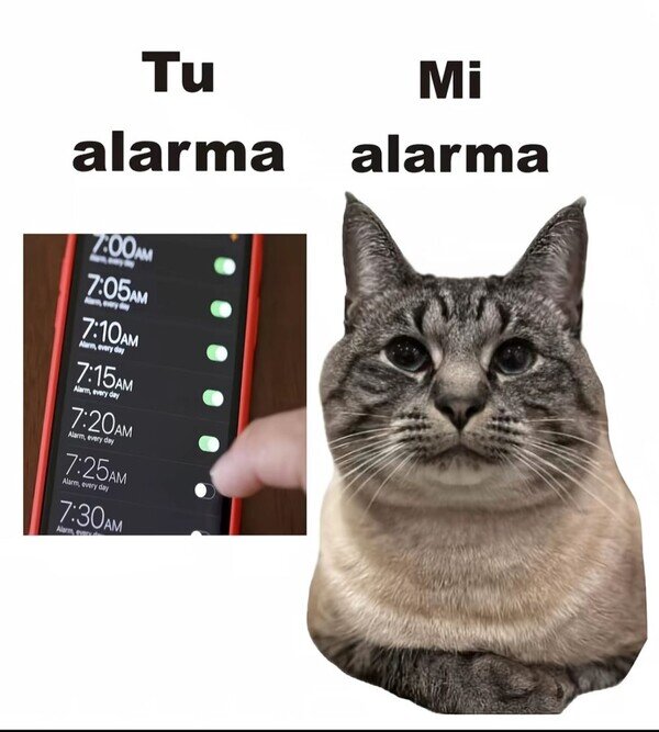 Otros - Mi adorable alarma