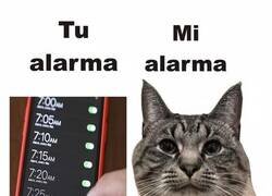 Enlace a Mi adorable alarma