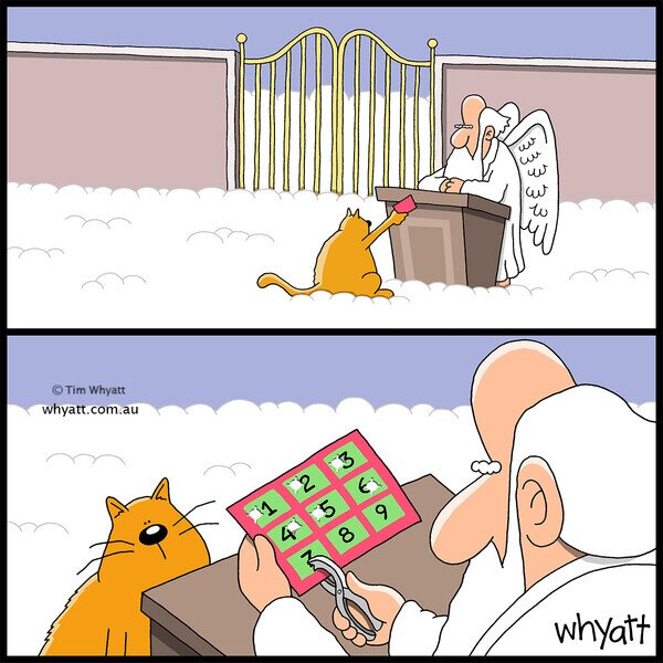 Otros - Rellenando el cupo