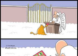 Enlace a Rellenando el cupo