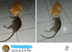 Enlace a Mañana puedo ser yo