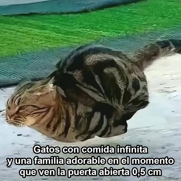 Otros - A la mínima intentan escapar