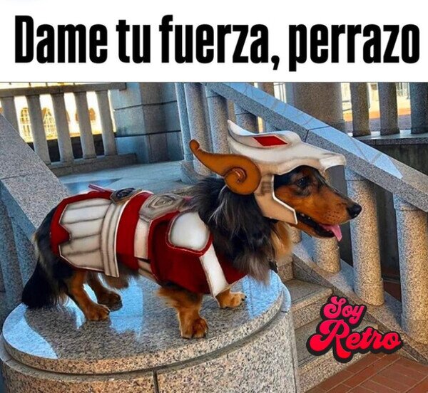 Otros - Perros del Zodíaco