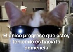 Enlace a Estoy progresando