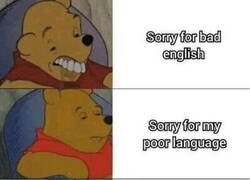 Enlace a Cuando no dominas el idioma